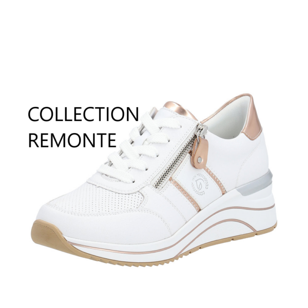 COLLECTION REMONTE