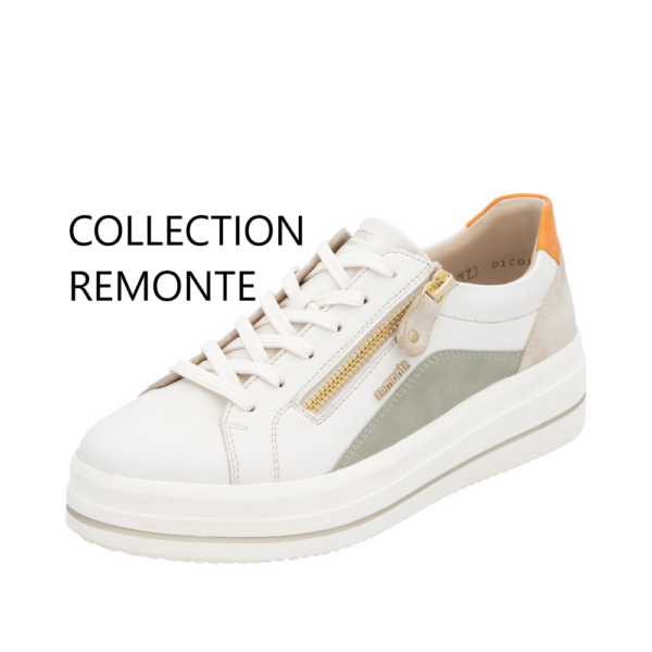 COLLECTION REMONTE