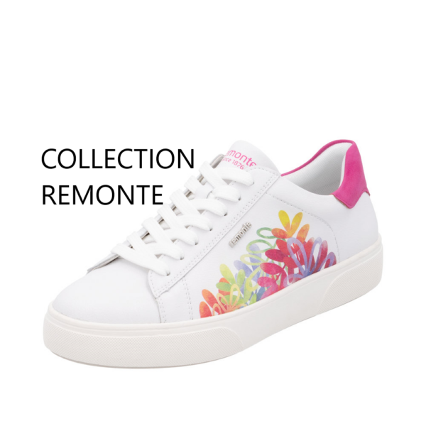 COLLECTION REMONTE